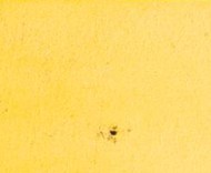 yg5l98cmdx8srgf-67