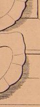 velnuf6ehff22de-89