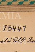 pcj0a67avwiznun-14