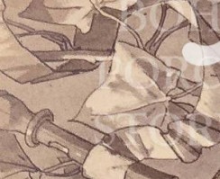 s06nplblxuo2d70-41