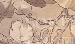 s06nplblxuo2d70-78