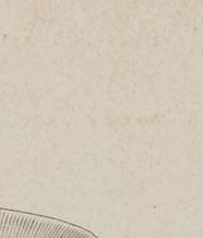 7rqrl706a4tm99g-19