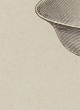 7rqrl706a4tm99g-31