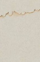 7rqrl706a4tm99g-82