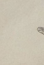 1a1e9f467mou0jr-111