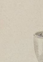 1a1e9f467mou0jr-18