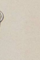 1a1e9f467mou0jr-91