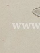 1a1e9f467mou0jr-94