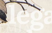 qef1f6jax4g4cop-118