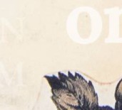 qef1f6jax4g4cop-124