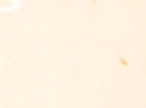 67pnhujwtjgxig3-124