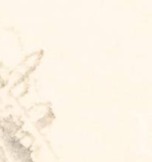 rhwr158wltlpgxg-105