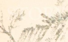 rhwr158wltlpgxg-108