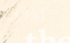 rhwr158wltlpgxg-109