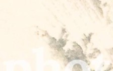 rhwr158wltlpgxg-113