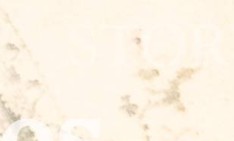 rhwr158wltlpgxg-114