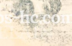 rhwr158wltlpgxg-137