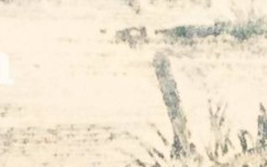 rhwr158wltlpgxg-138
