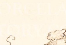 rhwr158wltlpgxg-21