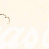 rhwr158wltlpgxg-33
