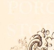 rhwr158wltlpgxg-37
