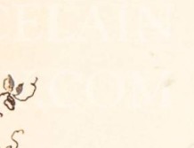 rhwr158wltlpgxg-38