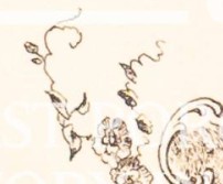 rhwr158wltlpgxg-43