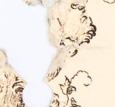 rhwr158wltlpgxg-55