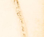 rhwr158wltlpgxg-64