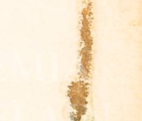 rhwr158wltlpgxg-72