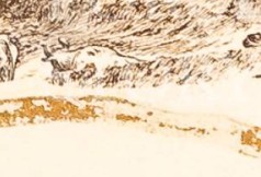 rhwr158wltlpgxg-76