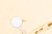 rhwr158wltlpgxg-81