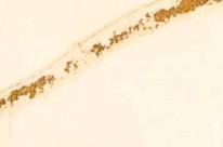 rhwr158wltlpgxg-82