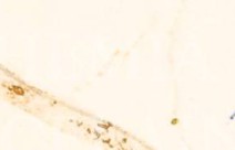 rhwr158wltlpgxg-87