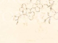 rhwr158wltlpgxg-92