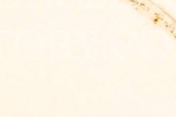 rhwr158wltlpgxg-95