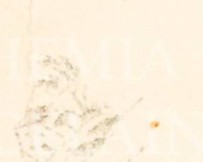rhwr158wltlpgxg-99