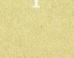 i54f2py79f76q20-143