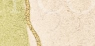 i54f2py79f76q20-82