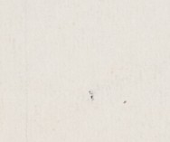 9nmz7co4dr6l2ey-62