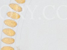 4yipcaaovp20o9v-42