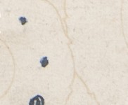 vvn3hxq0pohy3f9-136