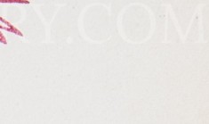 llb6zgkjqbz6wfo-26