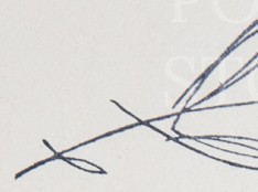 llb6zgkjqbz6wfo-37