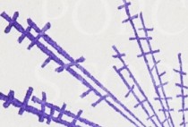 llb6zgkjqbz6wfo-54