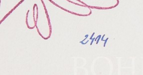 llb6zgkjqbz6wfo-60