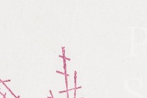 llb6zgkjqbz6wfo-70