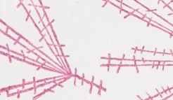 llb6zgkjqbz6wfo-77