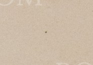 trs9cmt534vv3ai-24