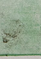 sq9tb1mfjbtwjly-126